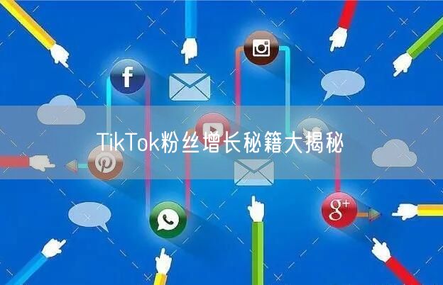 TikTok粉丝增长秘籍大揭秘