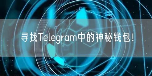 寻找Telegram中的神秘钱包！