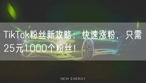 TikTok粉丝新攻略:快速涨粉,只需25元1000个粉丝!
