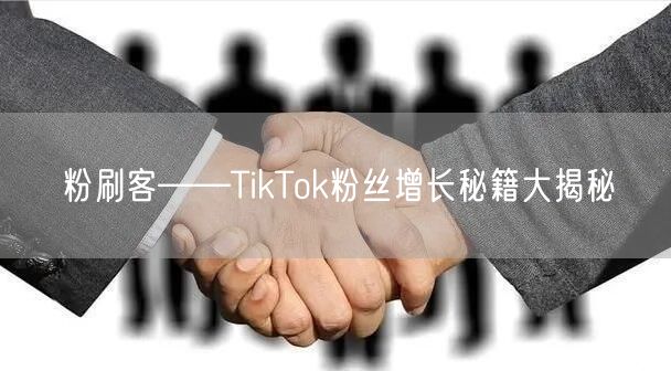 粉刷客——TikTok粉丝增长秘籍大揭秘
