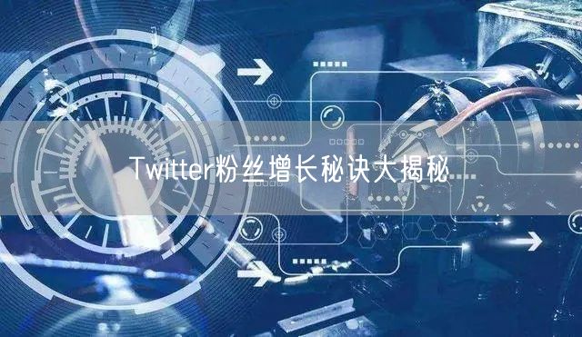 Twitter粉丝增长秘诀大揭秘