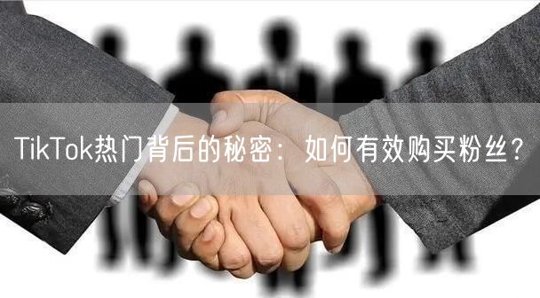 TikTok热门背后的秘密:如何有效购买粉丝?
