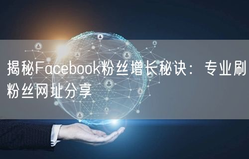 揭秘Facebook粉丝增长秘诀:专业刷粉丝网址分享