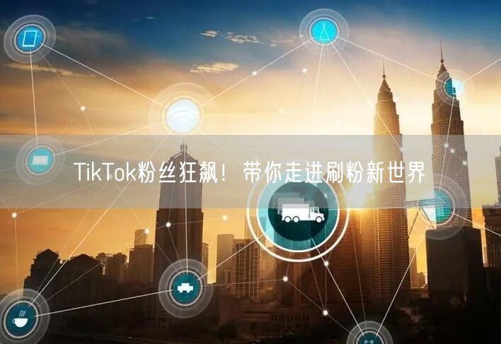 TikTok粉丝狂飙！带你走进刷粉新世界