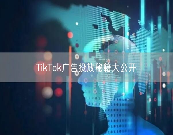 TikTok广告投放秘籍大公开