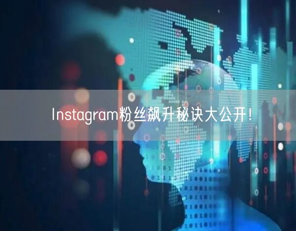 Instagram粉丝飙升秘诀大公开！