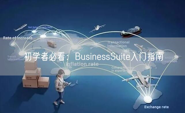 初学者必看:BusinessSuite入门指南