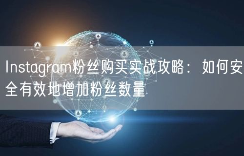 Instagram粉丝购买实战攻略:如何安全有效地增加粉丝数量