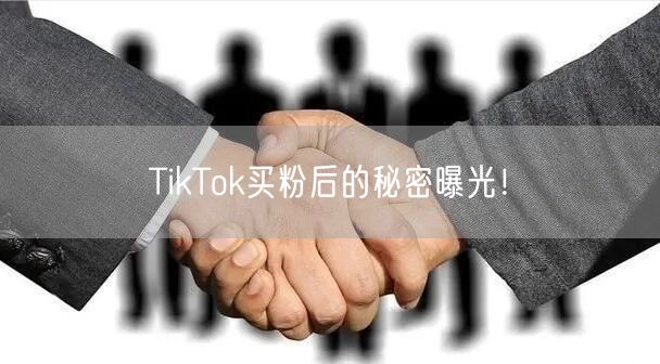 TikTok买粉后的秘密曝光!