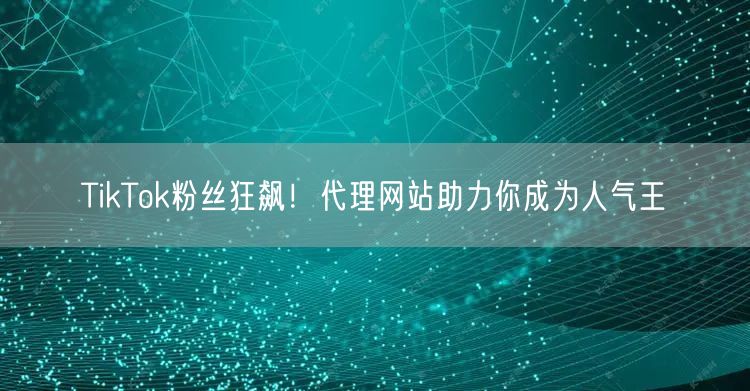 TikTok粉丝狂飙！代理网站助力你成为人气王