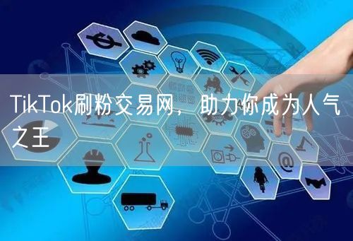 TikTok刷粉交易网,助力你成为人气之王