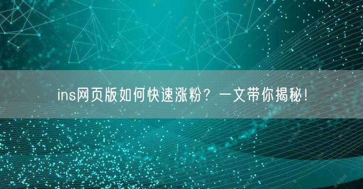 ins网页版如何快速涨粉?一文带你揭秘!