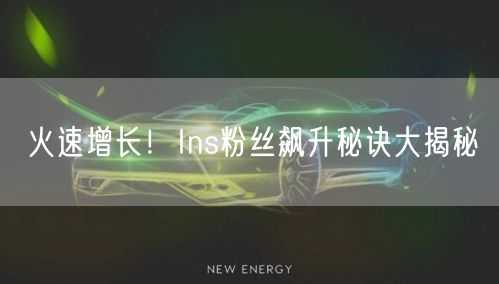 火速增长!Ins粉丝飙升秘诀大揭秘