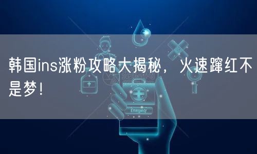 韩国ins涨粉攻略大揭秘,火速蹿红不是梦!