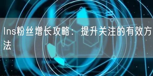 Ins粉丝增长攻略:提升关注的有效方法