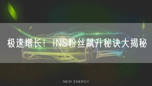 极速增长!INS粉丝飙升秘诀大揭秘