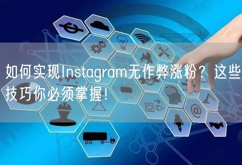 如何实现Instagram无作弊涨粉?这些技巧你必须掌握!
