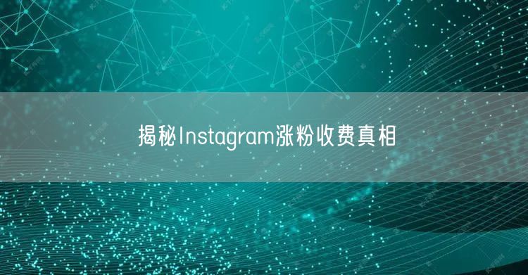 揭秘Instagram涨粉收费真相