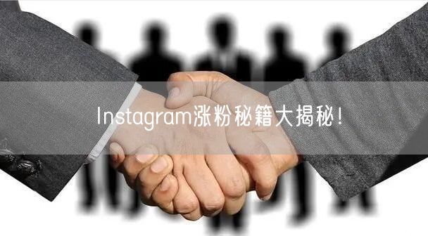Instagram涨粉秘籍大揭秘!