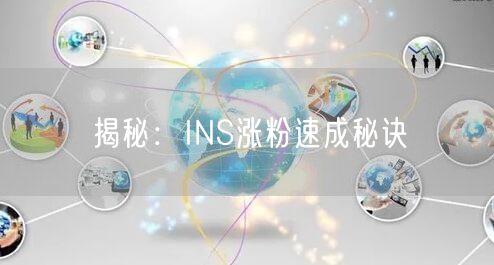 揭秘:INS涨粉速成秘诀