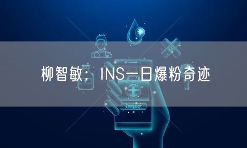 柳智敏：INS一日爆粉奇迹