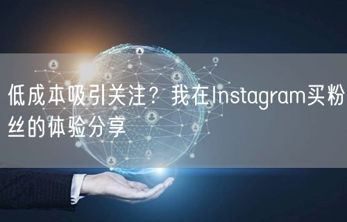 低成本吸引关注?我在Instagram买粉丝的体验分享