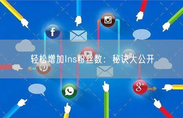 轻松增加Ins粉丝数:秘诀大公开