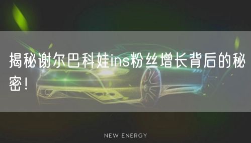 揭秘谢尔巴科娃ins粉丝增长背后的秘密！