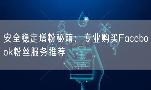 安全稳定增粉秘籍:专业购买Facebook粉丝服务推荐