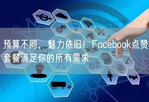 预算不同，魅力依旧！Facebook点赞套餐满足你的所有需求