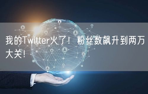 我的Twitter火了!粉丝数飙升到两万大关!