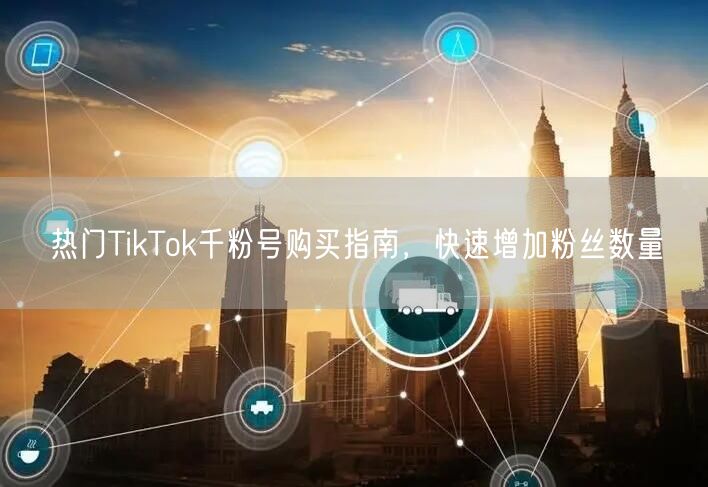 热门TikTok千粉号购买指南，快速增加粉丝数量