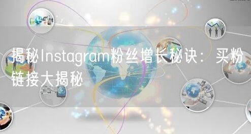 揭秘Instagram粉丝增长秘诀:买粉链接大揭秘