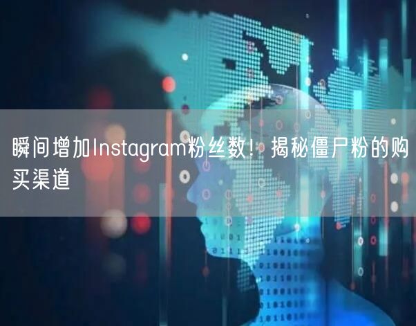 瞬间增加Instagram粉丝数!揭秘僵尸粉的购买渠道