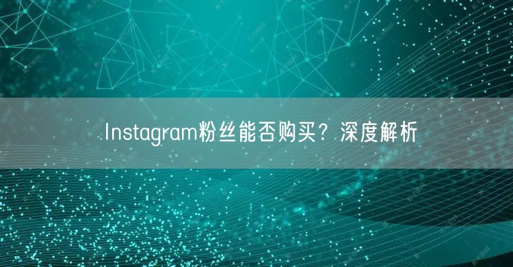 Instagram粉丝能否购买？深度解析