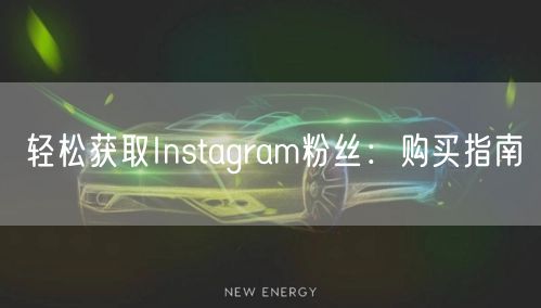 轻松获取Instagram粉丝：购买指南