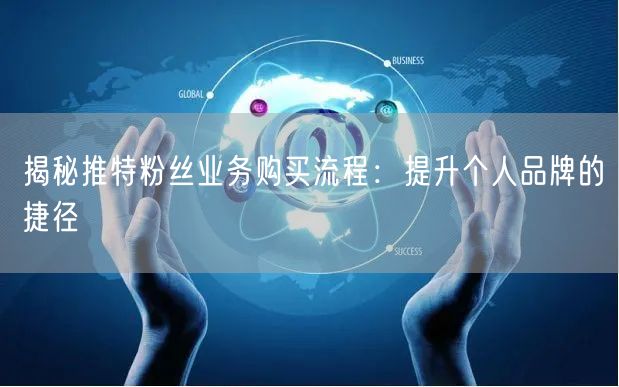 揭秘推特粉丝业务购买流程:提升个人品牌的捷径