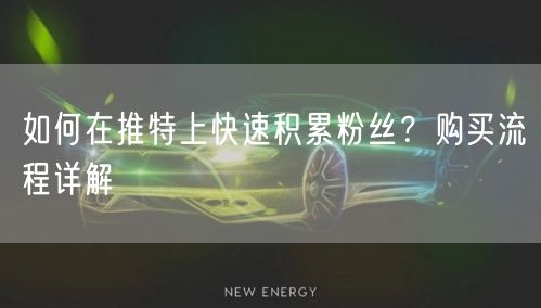 如何在推特上快速积累粉丝?购买流程详解