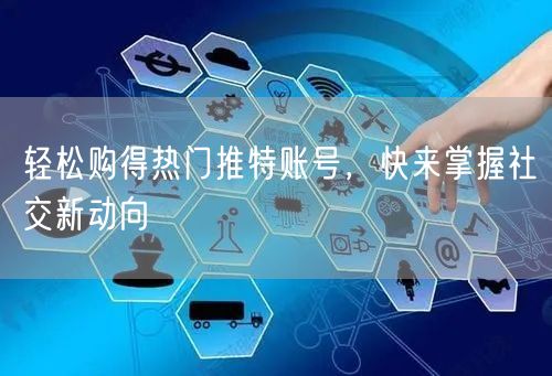 轻松购得热门推特账号,快来掌握社交新动向