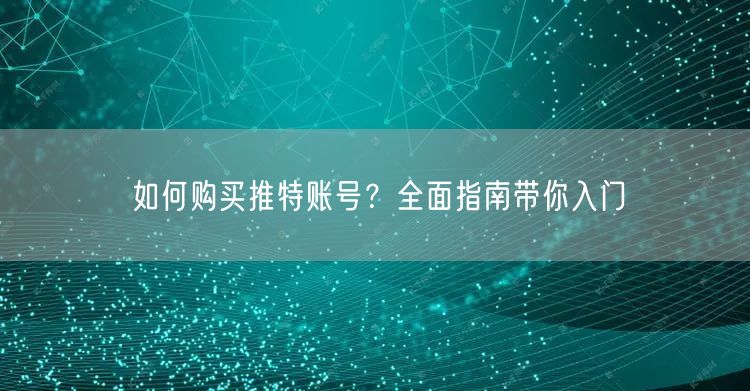 如何购买推特账号？全面指南带你入门