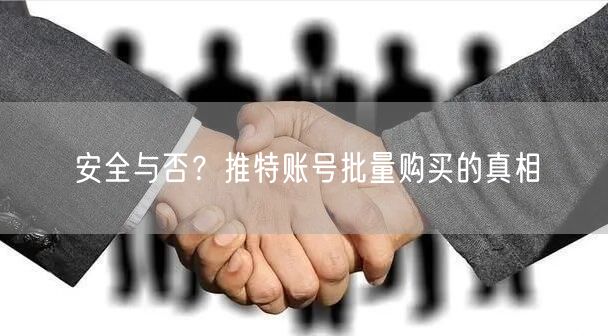 安全与否？推特账号批量购买的真相