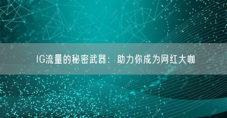 IG流量的秘密武器：助力你成为网红大咖