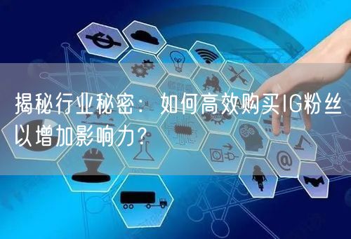 揭秘行业秘密：如何高效购买IG粉丝以增加影响力？