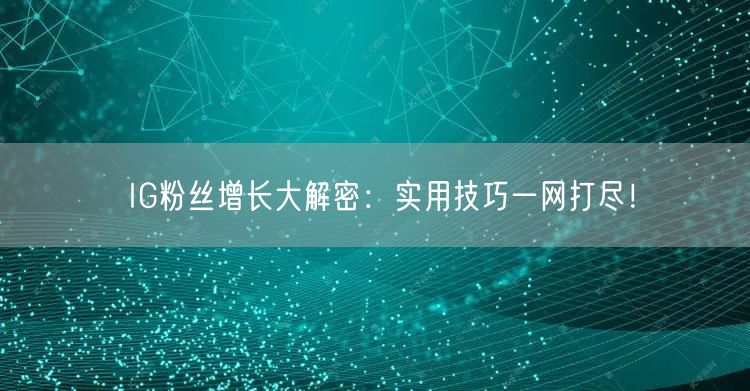 IG粉丝增长大解密：实用技巧一网打尽！