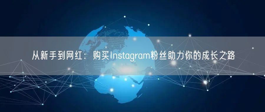 从新手到网红：购买Instagram粉丝助力你的成长之路