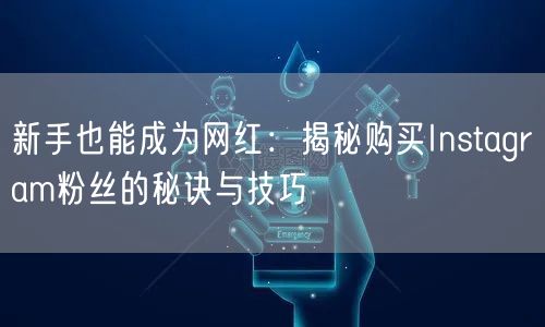 新手也能成为网红：揭秘购买Instagram粉丝的秘诀与技巧