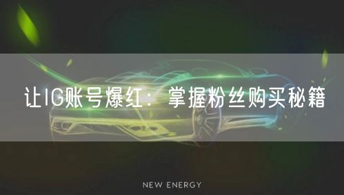 让IG账号爆红：掌握粉丝购买秘籍