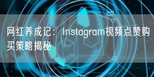网红养成记：Instagram视频点赞购买策略揭秘
