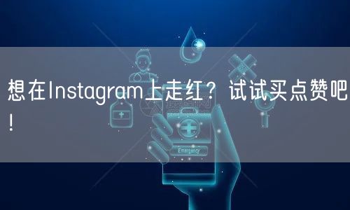 想在Instagram上走红？试试买点赞吧！
