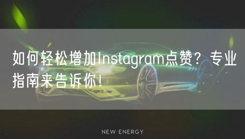 如何轻松增加Instagram点赞？专业指南来告诉你！